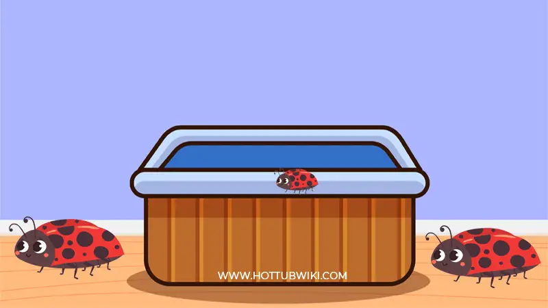 Do hot tubs attract bugs? Yes, they do.