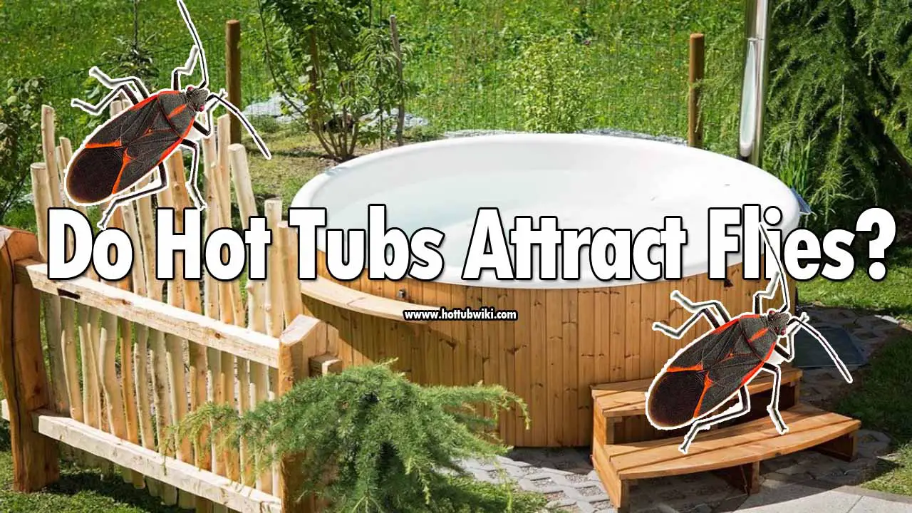 Do hot tubs attract flies? Yes, they do. Because of your body heat, and hot tub water heat, the flies come around. But, there's a way to keep flies/bugs away from your hot tub.