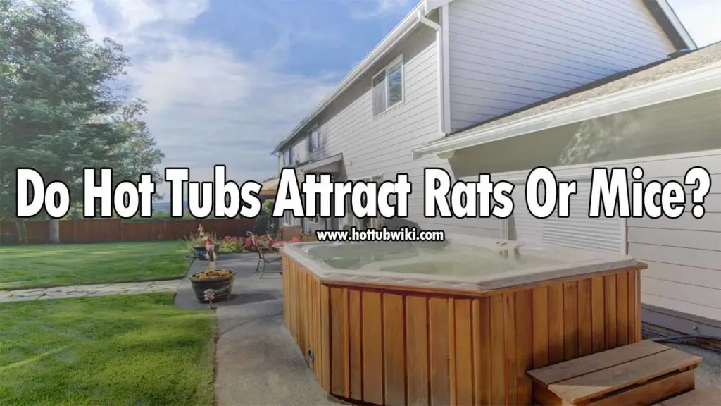 We have talked about snakes, but do hot tubs attract rats or mice? Yes, they do. But, again not directly. If you eat food in your hot tub or make a grill near your hot tub then the chances of rats coming are very high. So, rats or mice don't come directly for the hot tub, they come because of the activities that happen in the hot tub or near the hot tub.