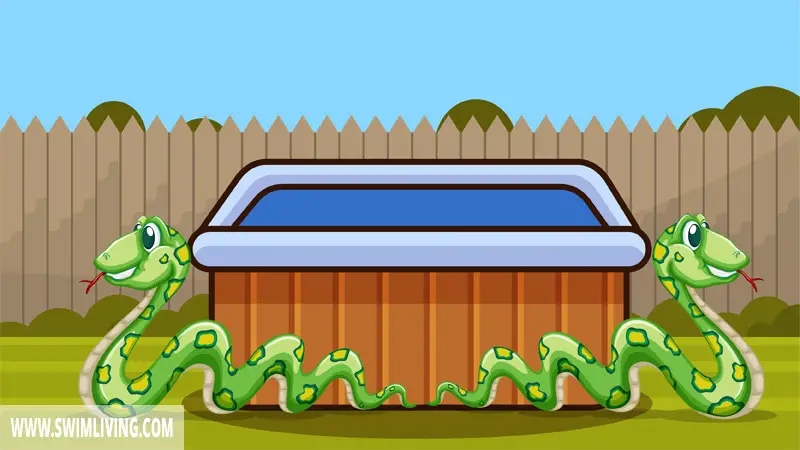 Do Hot Tubs Attract Snakes & Rats? (& How to Get Rid of Them)