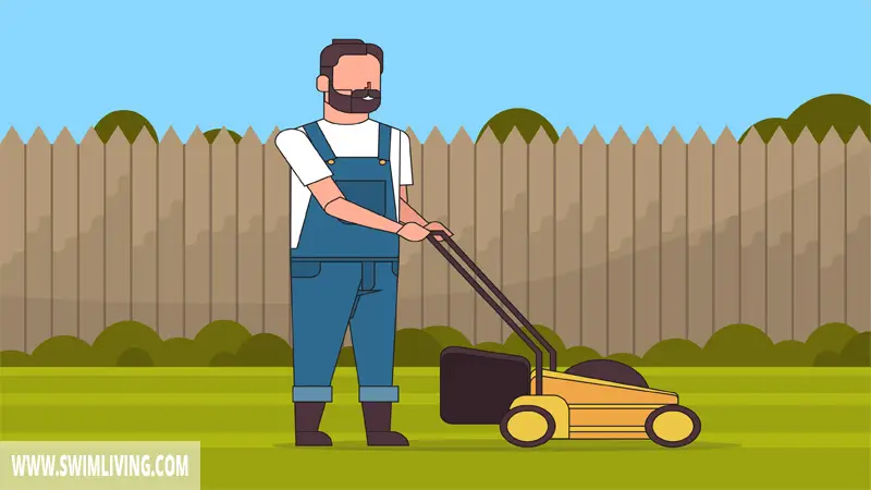 Mown Your Lawn or Yard Regularly