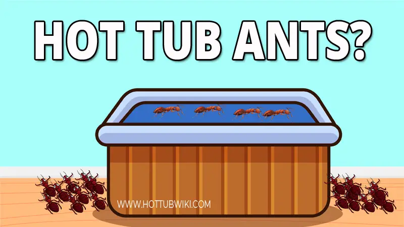 Having ants in your hot tub isn't fun. But, the good thing is that you can get rid of them. Knowing how to get rid of ants in a hot tub is important. Especially if you have your hot tub outdoors.