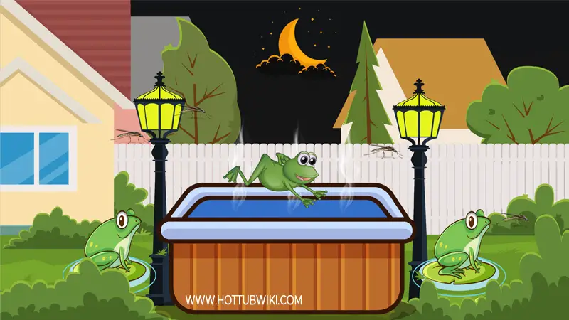 You must be wondering-- why are frogs attracted to my hot tub? The main reason frogs are attracted to your hot tub is because that's where they find food. Frog's favorite food is pests, and if you don't clean your hot tub often, you will have a lot of pests around. The more pests you have around the more frogs you will have. 